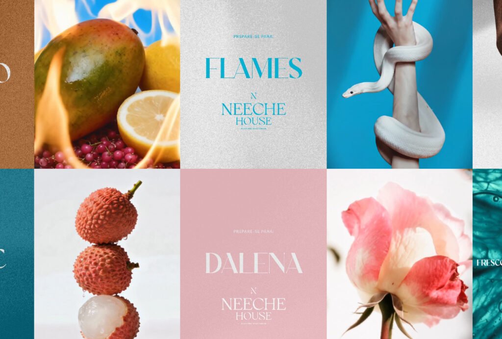 Quando o aroma encontra o propósito: a jornada da Neeche House